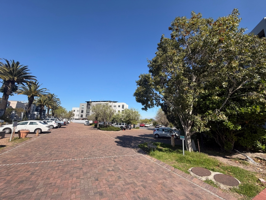 To Let Commercial Property for Rent in Tyger Valley Western Cape